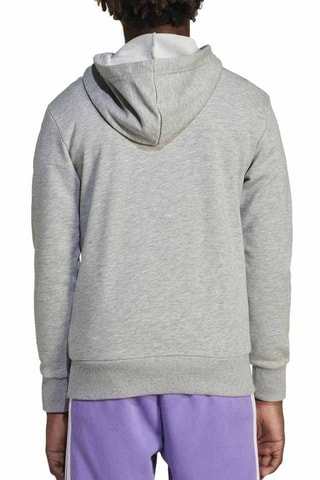 Sweat à capuche Essentials - Gris