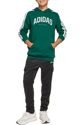 Sweat à capuche Collegiate - Vert foncé