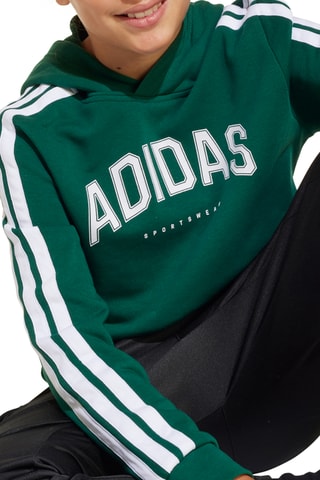 Sweat à capuche Collegiate - Vert foncé