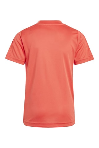 T-shirt Spider-Man Marvel Rouge et blanc