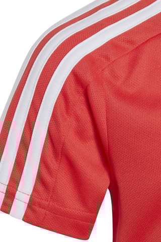 T-shirt Spider-Man Marvel Rouge et blanc