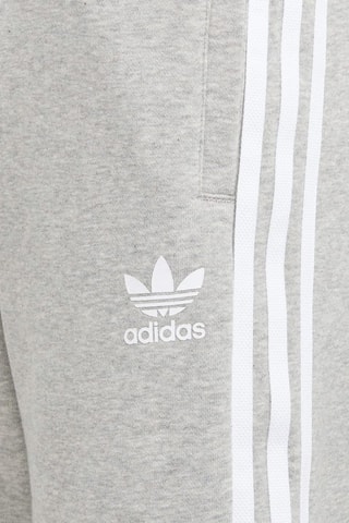 Short Adicolor - Gris