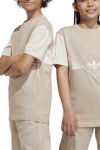 T-shirt standard Adicolor - Beige
