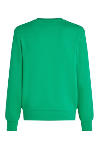 Sweat en coton biologique - Vert