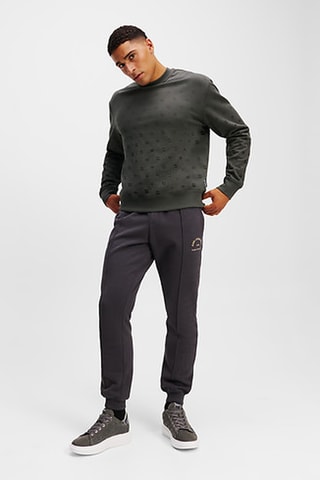 Sweat en coton biologique - Anthracite