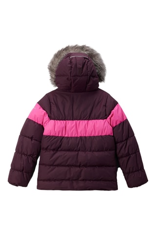 Gewatteerde Jas met Capuchon Arctic Blast™ III - Bordeauxrood