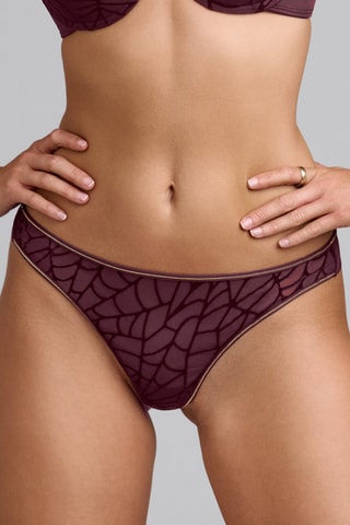 String The Adventuress - Bordeaux