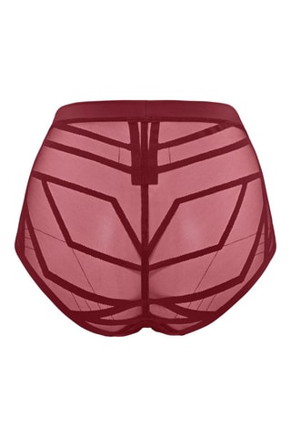 Culotte taille haute The Illusionist - Bordeaux