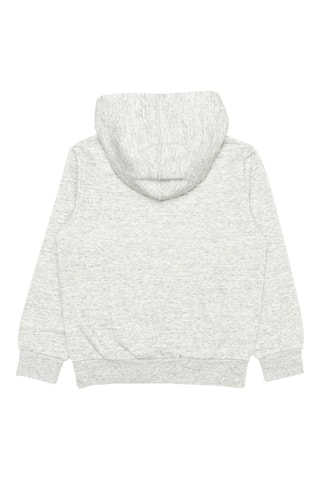 Sweat à capuche Gris chiné