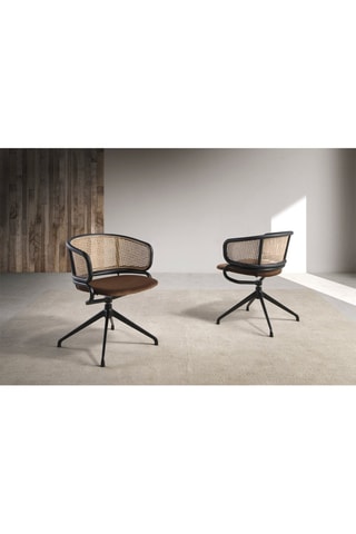 Cadeira Castanho escuro e natural