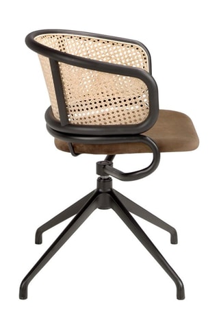 Cadeira Castanho escuro e natural