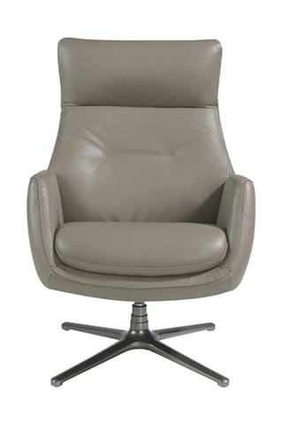 Cadeirão giratório 
Cinzento