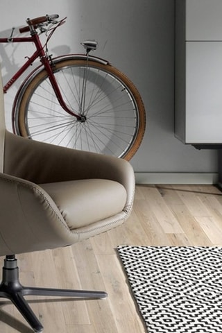 Cadeirão giratório com almofada Toupeira