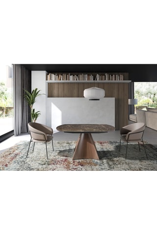 2 cadeiras - 57 x 81 x 61 cm