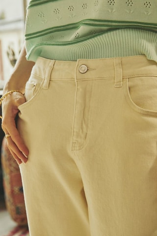 Rechte Broek Pepitte - Beige