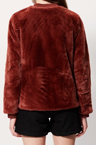 Jasje Violetta Steenrood