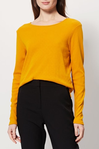 Top Avrolles Mosterdgeel