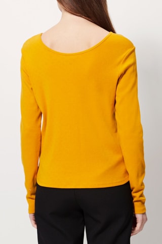 Top Avrolles Mosterdgeel