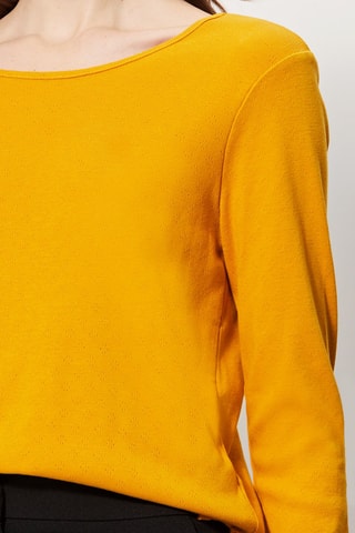 Top Avrolles Mosterdgeel