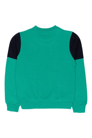 Sweater - Groen