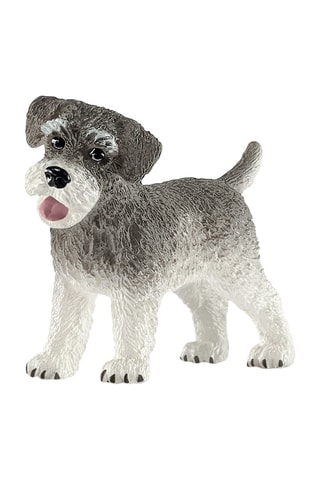 Dwergschnauzer Farm World Vanaf 3 Jaar