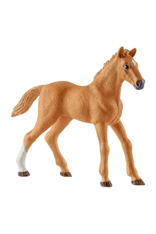 Manege Horse Club - Vanaf 5 Jaar