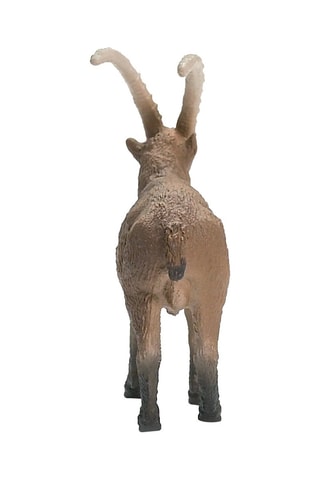 Steenbok Wild Life - Vanaf 3 Jaar