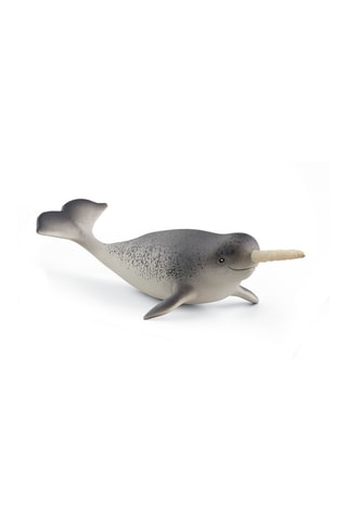 IJsberenfeestje Wild Life Vanaf 5 Jaar