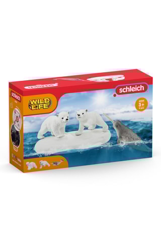 IJsberenfeestje Wild Life Vanaf 5 Jaar