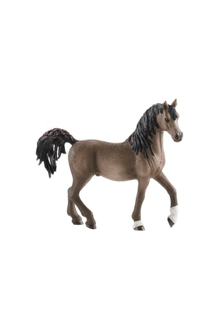 Arabische Hengst - Vanaf 5 Jaar -