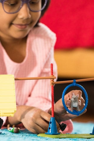 Speelplezier voor honden Farm World - Vanaf 3 Jaar