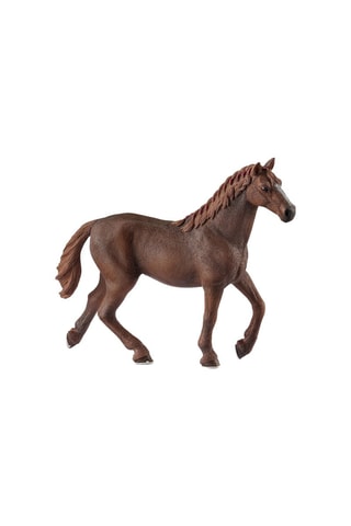 Engelse volbloed merrie Horse Club - Vanaf 2 Jaar