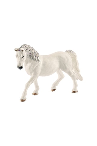 Lipizzan Merrie Horse Club Vanaf 3 Jaar