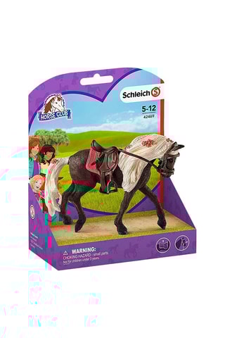 Jument Rocky Mountain van de paardenshow Horse Club - Vanaf 5 Jaar