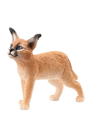 Caracalwelpje Wild Life Vanaf 3 Jaar