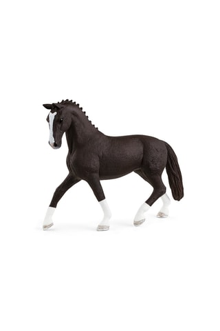 Hannoveraanse merrie Morelle Horse Club - Vanaf 5 Jaar 