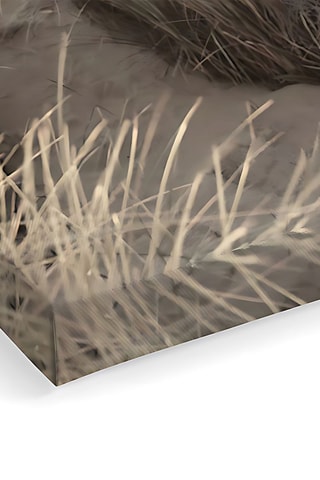 Wanddecoratie - 40 x 60 cm