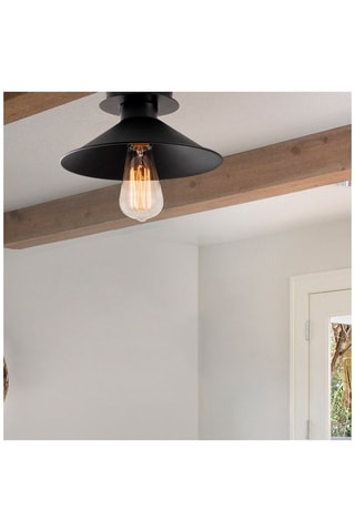 Plafondlamp Berceste - Zwart - 100 W