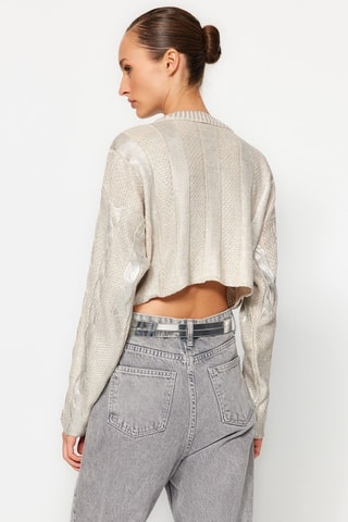 Trui - Zilverkleurig