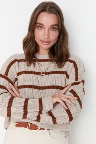 Trui - Beige en Bruin