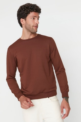 Felpa regular - Marrone