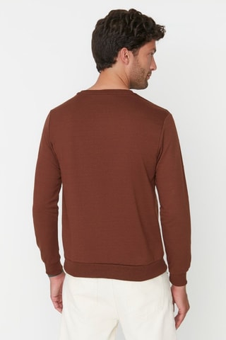 Felpa regular - Marrone