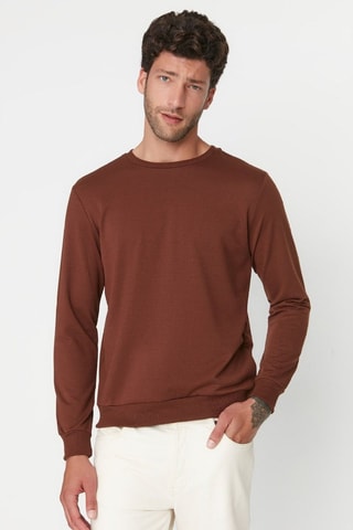 Felpa regular - Marrone