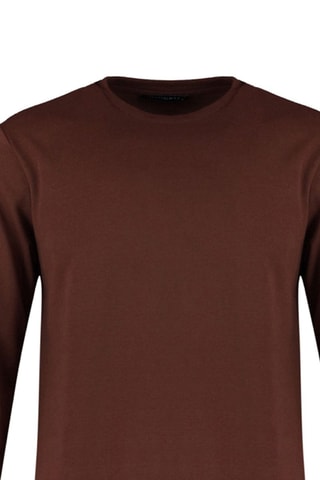 Felpa regular - Marrone