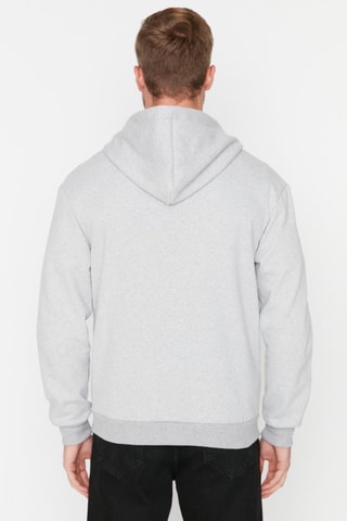 Sweater regular met capuchon - Grijs