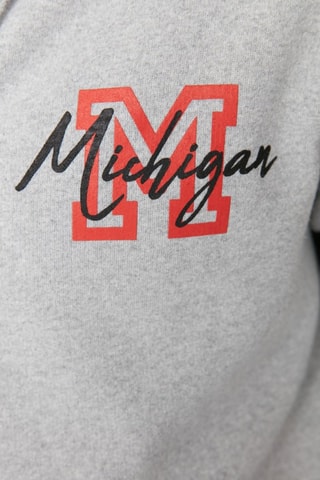 Sweater regular met capuchon - Grijs