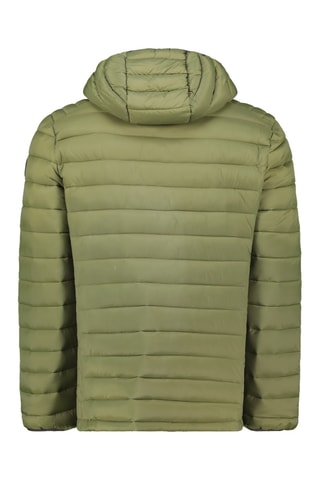 Doudoune à capuche Carlitana - Vert olive