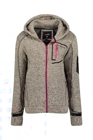 Sweat à capuche Telectrana - Gris chiné