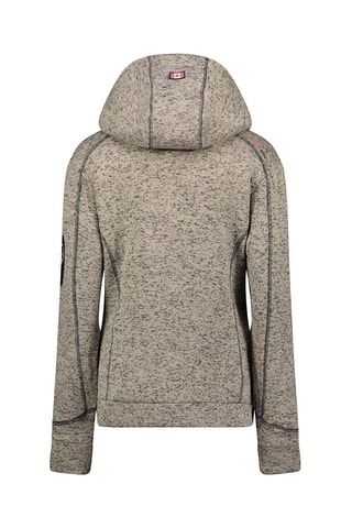 Sweat à capuche Telectrana - Gris chiné