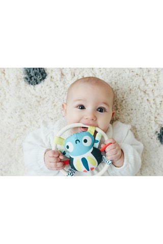 Guizo Feel to learn - A partir dos 6 meses